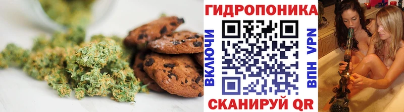 закладки  Снежногорск  MEGA как войти  Еда ТГК марихуана 