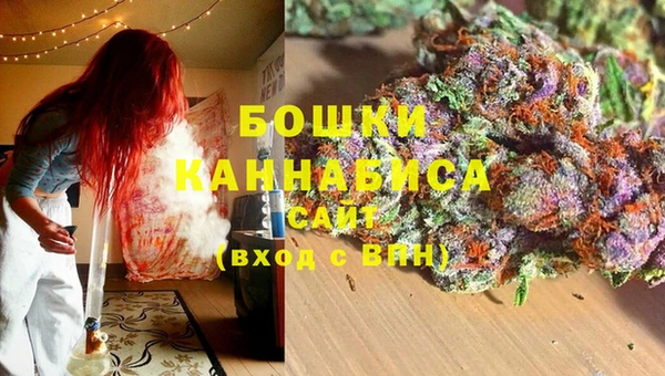 трава Пересвет